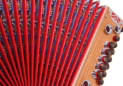 Edelweiss_MINI_detail2_1.jpg